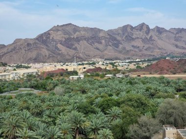 Hatta, Dubai, BAE 'de hurma ağaçları olan dağlar. 