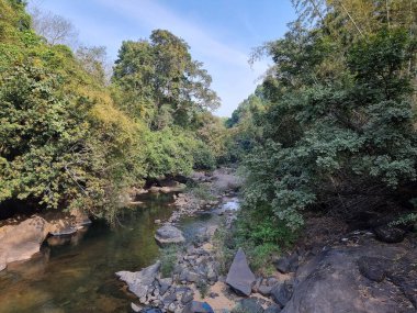 Kakkadampoyil, Calicut, Hindistan 'daki ormandan akan güzel bir nehir..