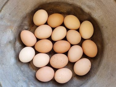 Beyaz arka planda tavuk yumurtası