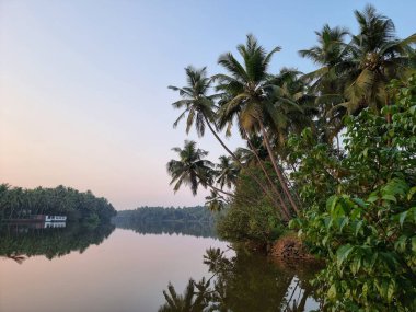 Malappuram, Kerala, Hindistan 'daki Kadalundi nehrinin güzel manzarası. .