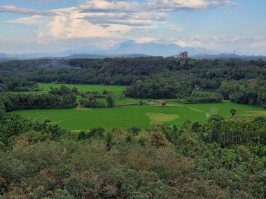 Ağacı ve dağı olan güzel bir manzara.