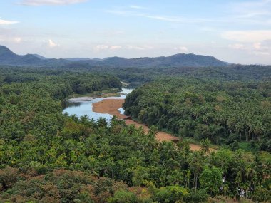 Ormandaki tropikal orman ve nehir