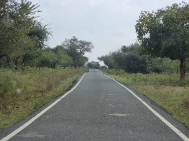 Masinagudi Ormanı 'ndaki güzel yol, Tamil Nadu, Hindistan. 