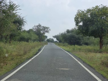 Masinagudi Ormanı 'ndaki güzel yol, Tamil Nadu, Hindistan. 