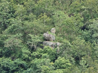 Dağları olan güzel bir manzara. Doğa