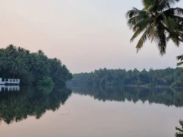 Malappuram, Kerala, Hindistan 'daki Kadalundi nehrinin güzel manzarası. .