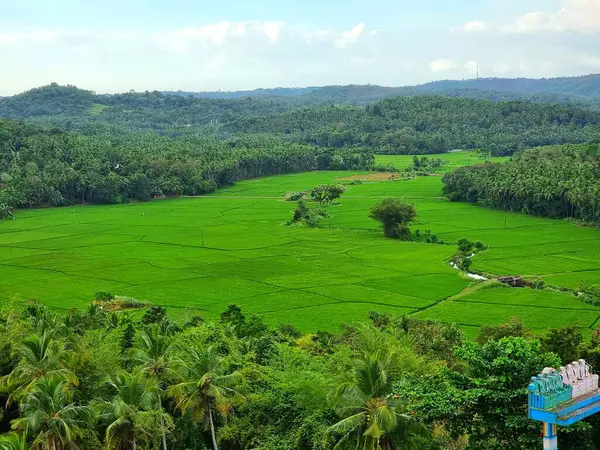 Yeni eyaletin adasının güzel manzarası.
