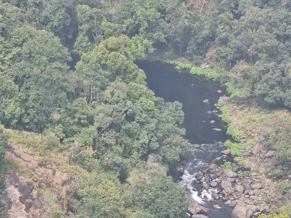 Nehir manzarası, ormanın dağı, Hint Okyanusu ormanının ormanı, en güzel manzara..