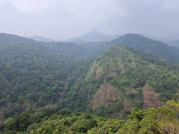 Sessiz vadi milli parkındaki dağların muhteşem manzarası, Palakkad, Kerala Hindistan. 