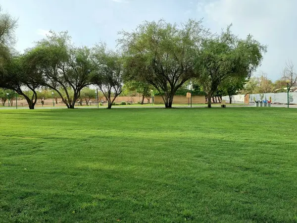 Parkın güzel manzarası