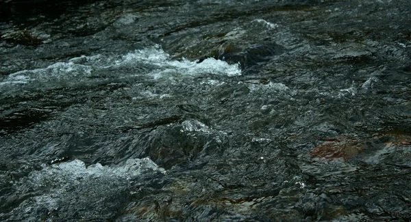 Kleiner Flussbrecher Mit Klarem Kaltem Flusswasser — Stockfoto