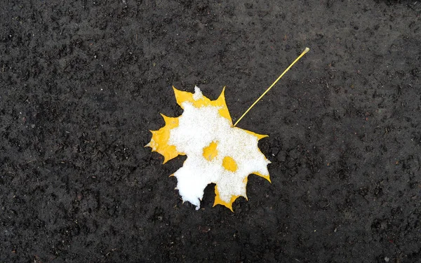 Ahornblatt Auf Dem Boden Bedeckt Mit Schnee Textur Hintergrund — Stockfoto