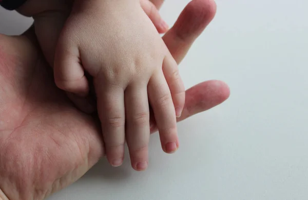 Small child\'s hand in the open palm hand of an adult human isolated stock photo