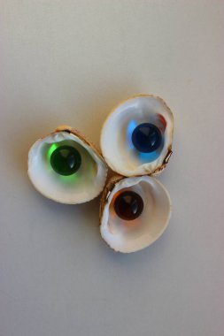 Multi colored glass balls in a sea shells on white surface isolated stock photo 