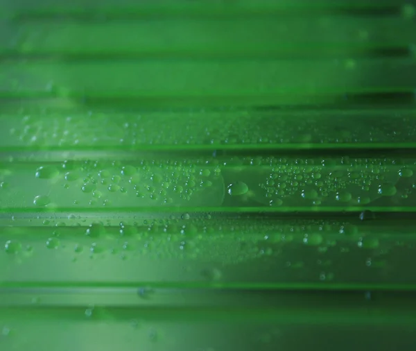 Superfície Plástica Translúcida Verde Com Gotas Foto Stock Condensado Macro — Fotografia de Stock