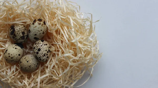 Concept Postcard Wallpaper Quail Eggs Straw Nest White Background Side — Stock Photo, Image