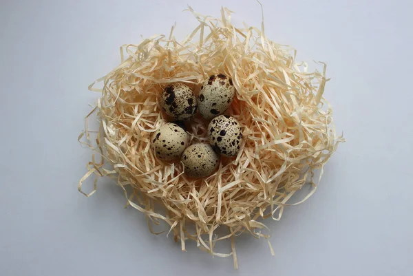 Five Spotted Eggs Hay Nest White Surface Top View — Stock Photo, Image
