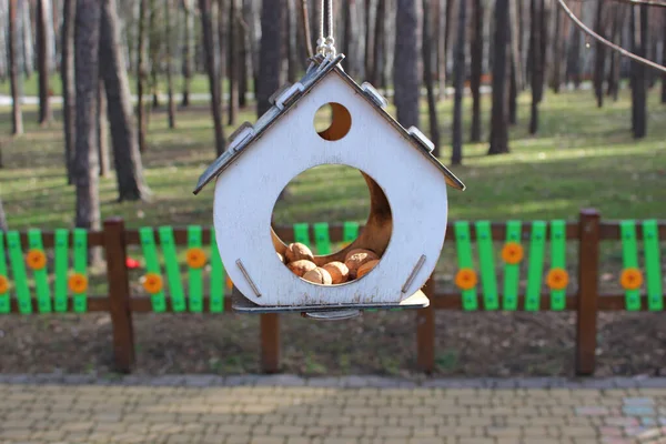 Plywood Fågelholk Med Nötter Hängande Från Ett Träd Park Med — Stockfoto