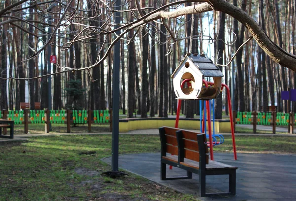 公園のベンチの近くの木で鳥の餌やり — ストック写真