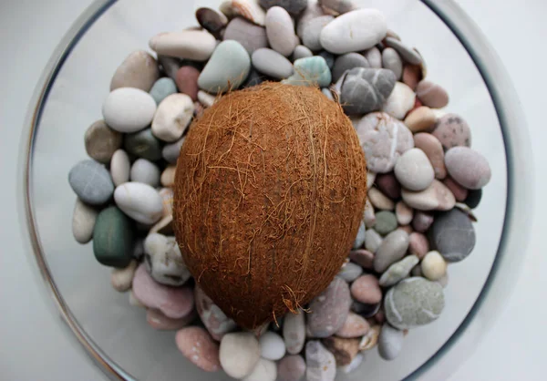 Detailní Stock Fotka Ripe Brown Coconut Glass Bowl Sea Stones — Stock fotografie
