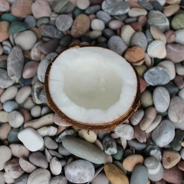 Weißes Fleisch Inneren Gehackte Kokosnuss Auf Einem Runden Meer Kiesel — Stockfoto