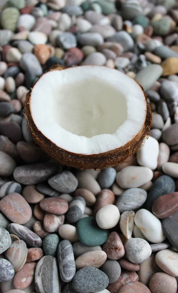 Vertikales Foto Einer Kokosnuss Die Der Hälfte Über Texturierten Meeresfelsen — Stockfoto