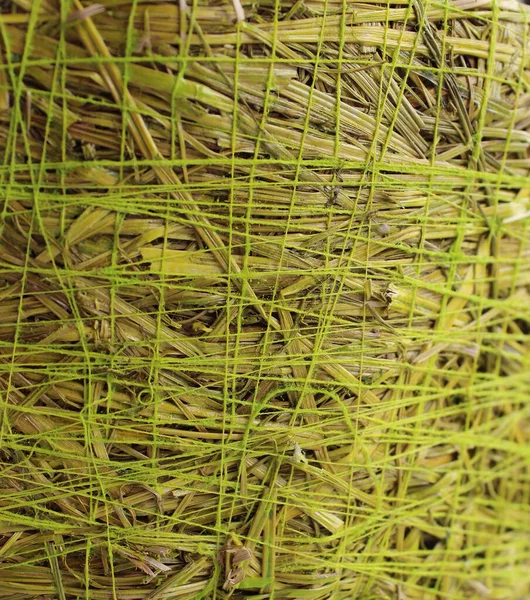 Weide Gras Und Faden Textur Auf Seite Teil Der Gewebten — Stockfoto