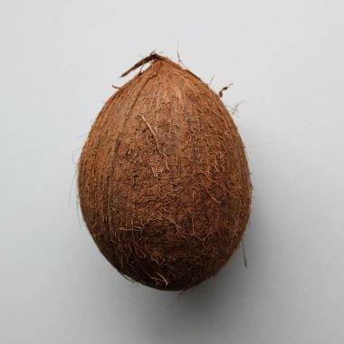 Olgun hindistan cevizi yan yatar. Yakın plan kare fotoğrafı.