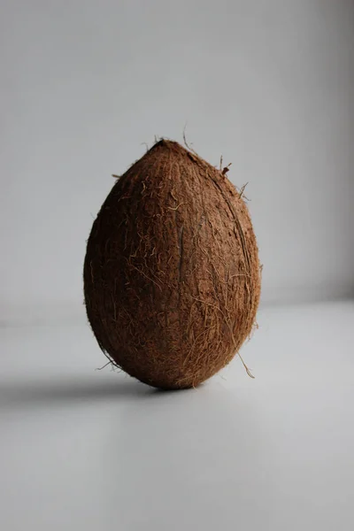 Ganze Kokosnuss Mit Spitzen Enden Isoliert Auf Weißem Hintergrund — Stockfoto