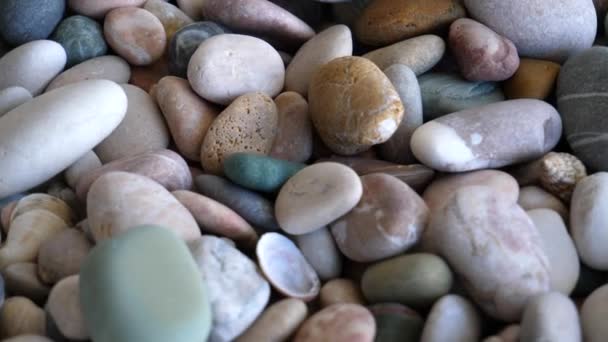 Padrão Rotação Pedras Marinhas Redondas Misturadas Com Pequenas Conchas Vídeo — Vídeo de Stock