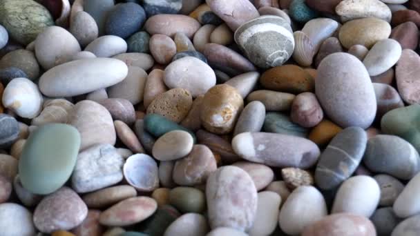 Video Piedras Lisas Colores Conchas Textura Rotación Vista Primer Plano — Vídeo de stock