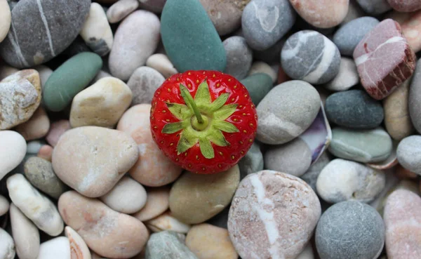 Una Fresa Roja Orgánica Sobre Fondo Piedras Redondas Mar Lisas —  Fotos de Stock