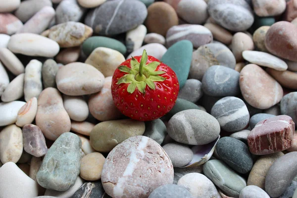 Suculent Coapte Căpșuni Pietre Decorare Concept Pentru Imagini Fundal Fructe — Fotografie, imagine de stoc