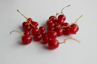 İnce Bir Şube Stüdyosundaki Tüm Kızılüzümlü Böğürtlen