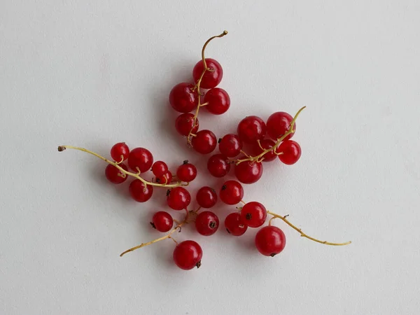 Groch Frutas Groselha Com Bagas Vermelhas Fundo Branco Foto Stock — Fotografia de Stock