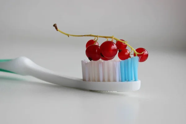 Red Currants Clean Toothbrush Closeup View Illustrative Photo Topic Berry — Stock Photo, Image