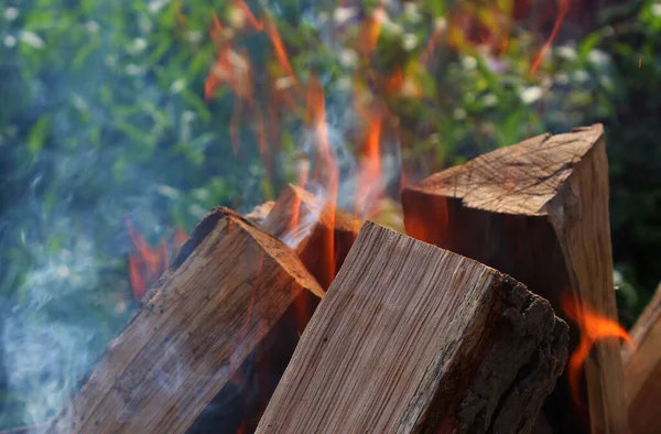 森林火災の乾燥した炎のログ 詳細なストックフォト — ストック写真