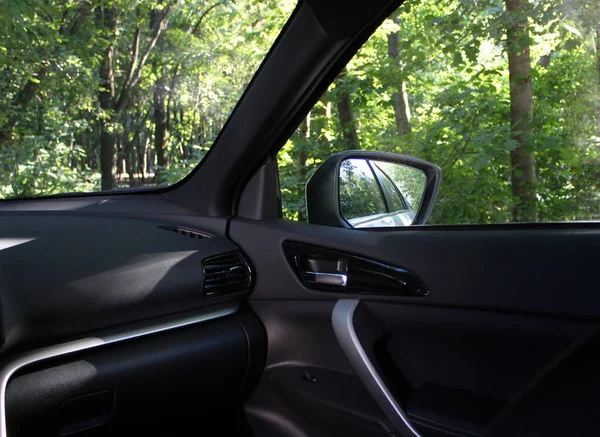 Beautiful view of the forest from inside the car