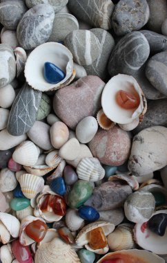 Taş zemini için çakıl taşları ve deniz kabuğu fotoğraflarıyla karışık dekoratif renkli kuvars taşları.