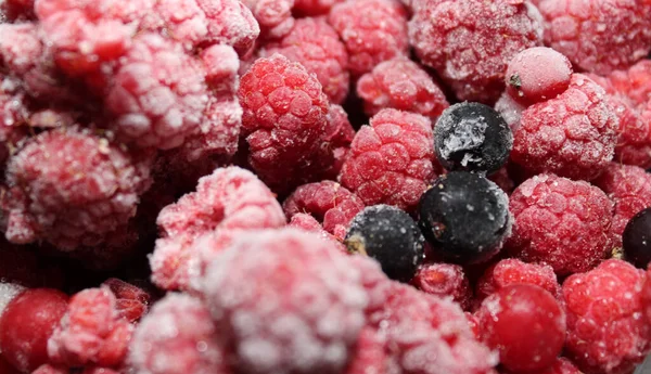 Donmuş Değişken Kırmızı ve Siyah Böğürtlenler Yakın Çekim Görünümü