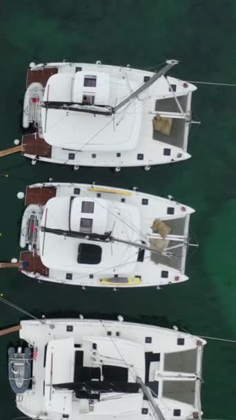 海のマリーナでモーニングされた同じセーリングカタマランヨットの垂直航空ビデオ — ストック動画
