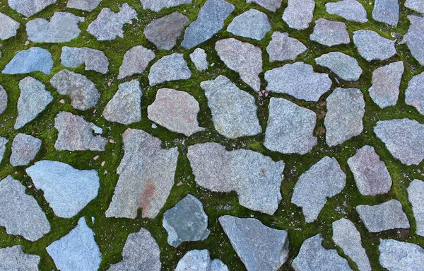 Granite Rocks Between Green Moss On The Floor Of Ancient Ruins