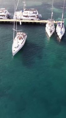 Yelkenli Yat 'ı Deniz Limanı Dikey Videosunda Yavaş Kalkış ve Kilitleme