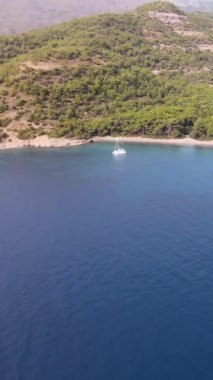 Küçük sessiz bir körfezin panoramik dikey videosu kayalık kıyıya demir atmış bir katamaran.