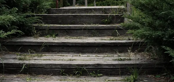 stock image Panoramic photo of old darkened wooden steps with grass growing through them. Entrance to the old fairytale house