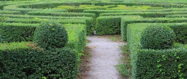 Çalı çırpı kaplı Boxwood Labirenti arasındaki çakıllı patika. Park Peyzaj Stoku Fotoğrafı