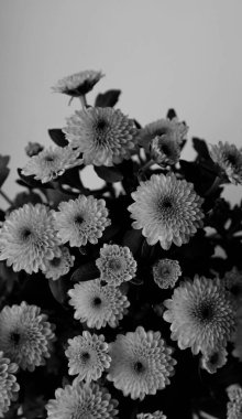 Beyaz arkaplanda bir demet güzel çiçek ve üzerinde kopya alanı olan gri ölçekli dikey resim