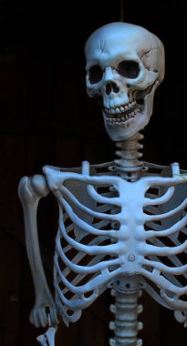 Ortaçağ 'da asılarak infazın illüstrasyon fotoğrafı. Boynunda ip olan bir iskelet modeli.