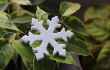 Snowflake Made With Artificial Snow Lie on Green Plant Leaves. Photo for Using Green Energy to Heat House Illustration clipart