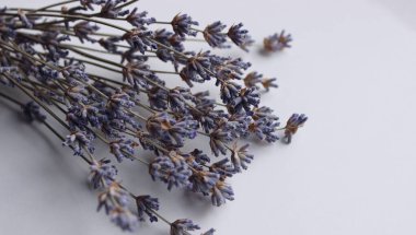 Mutfak aroması için kurutulmuş dağ lavantasının detayları
